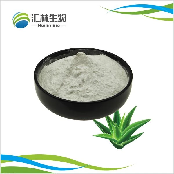 Extrato de Aloe Vera em pó